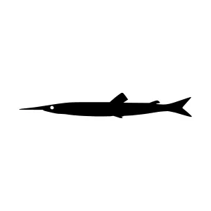 Black Fish Silhouette Vector Icon