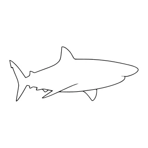 Minimalist Shark Outline - Line Art Illustration