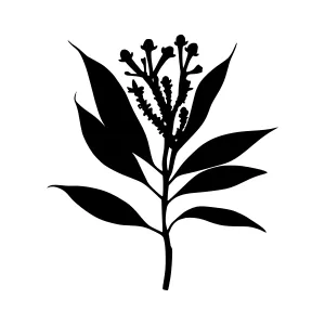 Black Silhouette Leaf Branch Illustration