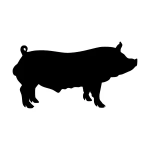 Pig Silhouette Vector Illustration