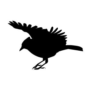Black Bird Silhouette - Flying Wildlife Graphic