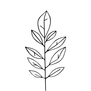 Hand-Drawn Leaf Illustration - Minimalist Line Art