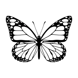 Black & White Butterfly Silhouette Vector