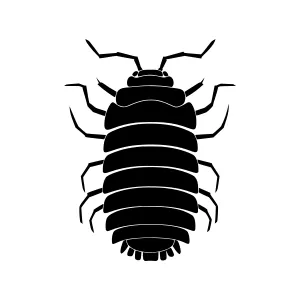 Black Pill Bug Silhouette Icon
