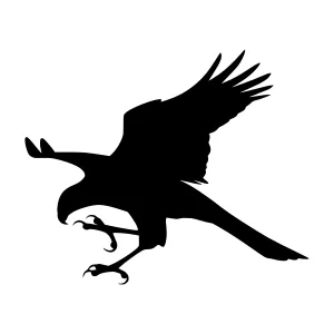 Black Eagle Silhouette Flying
