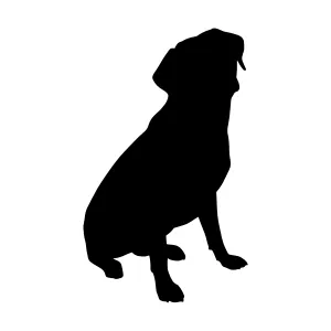 Dog Silhouette Vector Illustration