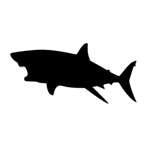 Black Shark Silhouette Vector Illustration
