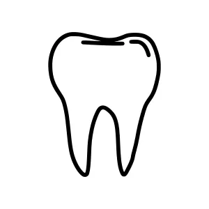 Dental Tooth Icon - Outline Vector Illustration