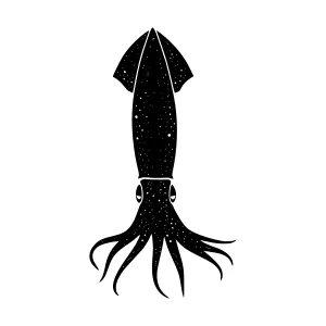 Black Silhouette Squid Illustration