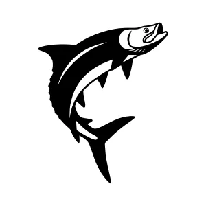 Shark Silhouette Vector Illustration