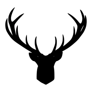 Black Deer Head Silhouette Vector Graphic