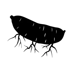Silhouette Airship Vector Illustration