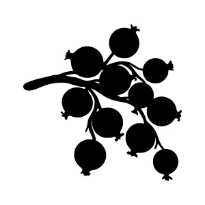 Black Berry Branch Silhouette