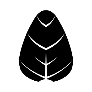Black Leaf Silhouette Icon