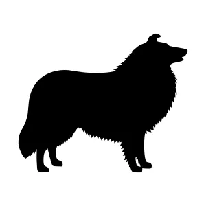 Silhouette Dog Collie - Black Animal Vector
