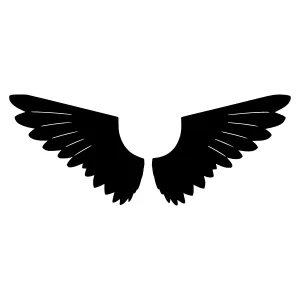 Black Wings Silhouette - Minimalist Design