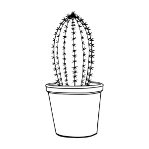 Black Line Cactus in Pot Illustration