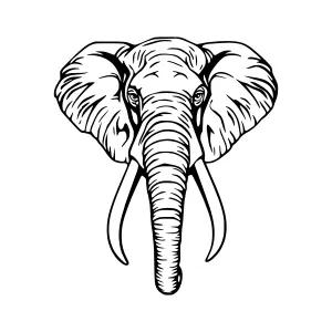 Vintage Elephant Head Illustration - Black & White