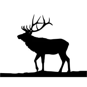 Silhouette Elk on Gray Background