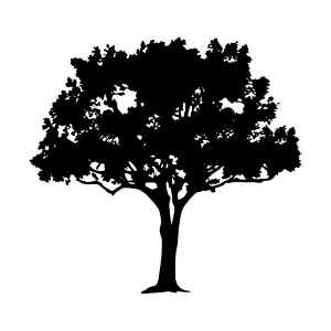 Black Tree Silhouette on White Background