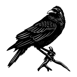 Black Bird Silhouette Vector Illustration