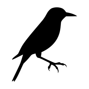 Black Bird Silhouette Vector Illustration