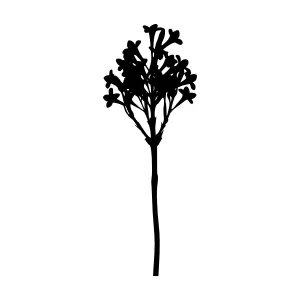 Black Floral Silhouette on White Background