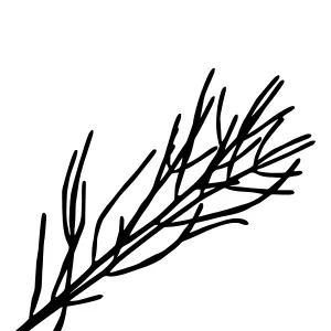 Black Branch Line Art Illustration