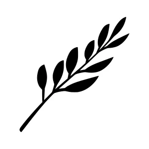 Black Leaf Branch Icon - Minimalist Vector