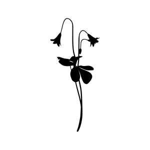 Black Silhouette Clover Flower