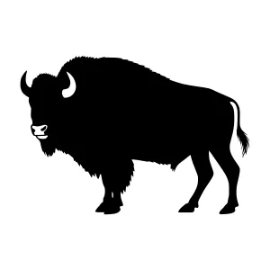 Black Bison Silhouette Vector Graphic