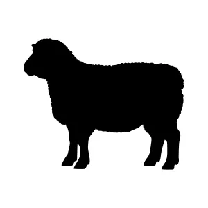 Black Sheep Silhouette Vector Graphic