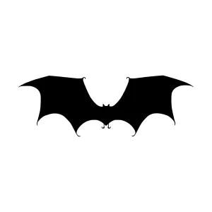 Black Bat Silhouette on White Background