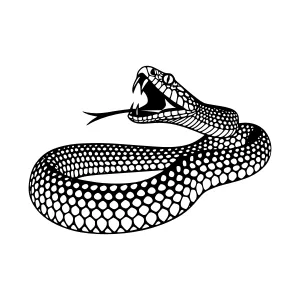 Black Silhouette Snake Illustration