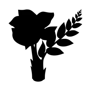 Black Zamioculcas Zamiifolia Plant Silhouette