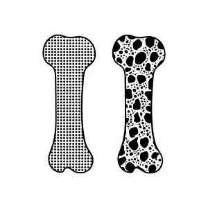 Vector Bone Illustrations - Dot Pattern & Texture