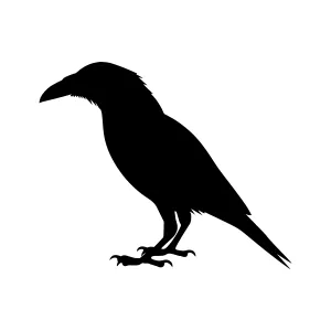 Black Crow Silhouette Vector Illustration
