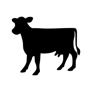 Black Cow Silhouette Vector Illustration