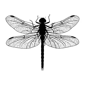 Dragonfly Silhouette - Black on White