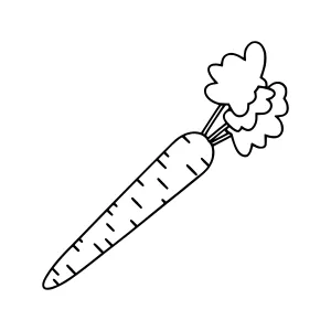 Cartoon Carrot Illustration - Line Art