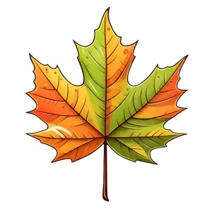 Colorful Autumn Maple Leaf Illustration