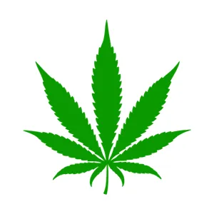 Cannabis Leaf Silhouette Icon