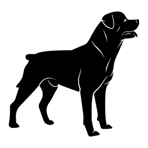 Silhouette Dog - Loyal Rottweiler Vector