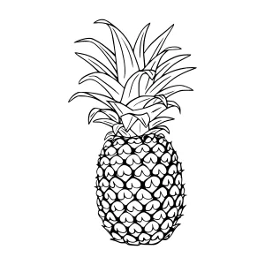 Black and White Pineapple Illustration