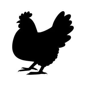 Black Chicken Silhouette Vector Illustration