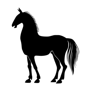 Silhouette Horse Graphic Vector Illustration