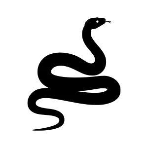 Black Snake Silhouette Vector Graphic
