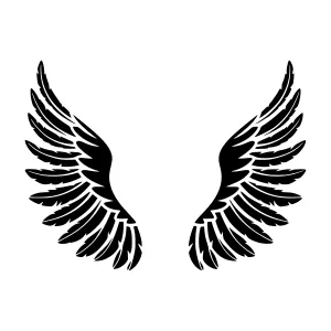 Black Wings Silhouette - Minimalist Design