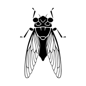 Black Silhouette Cicada Insect Vector Illustration