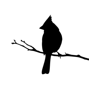 Cardinal Silhouette on Branch - Black Outline